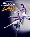 20050222 swanlake.jpg